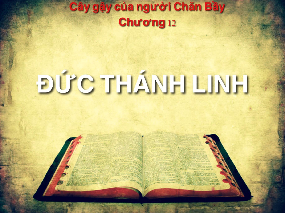 caygaycuanguoichanbaychuong12 1210x905