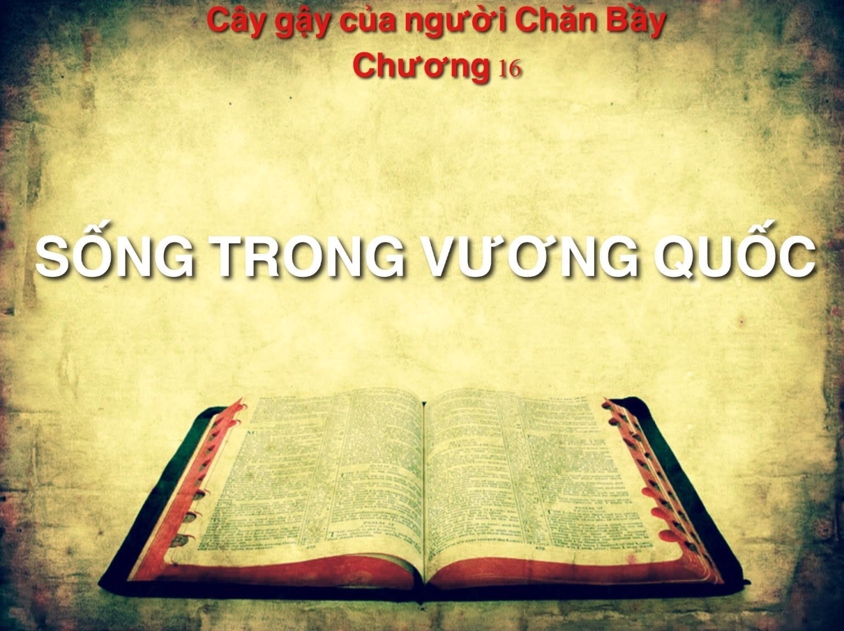 caygaycuanguoichanbaychuong16 1210x905