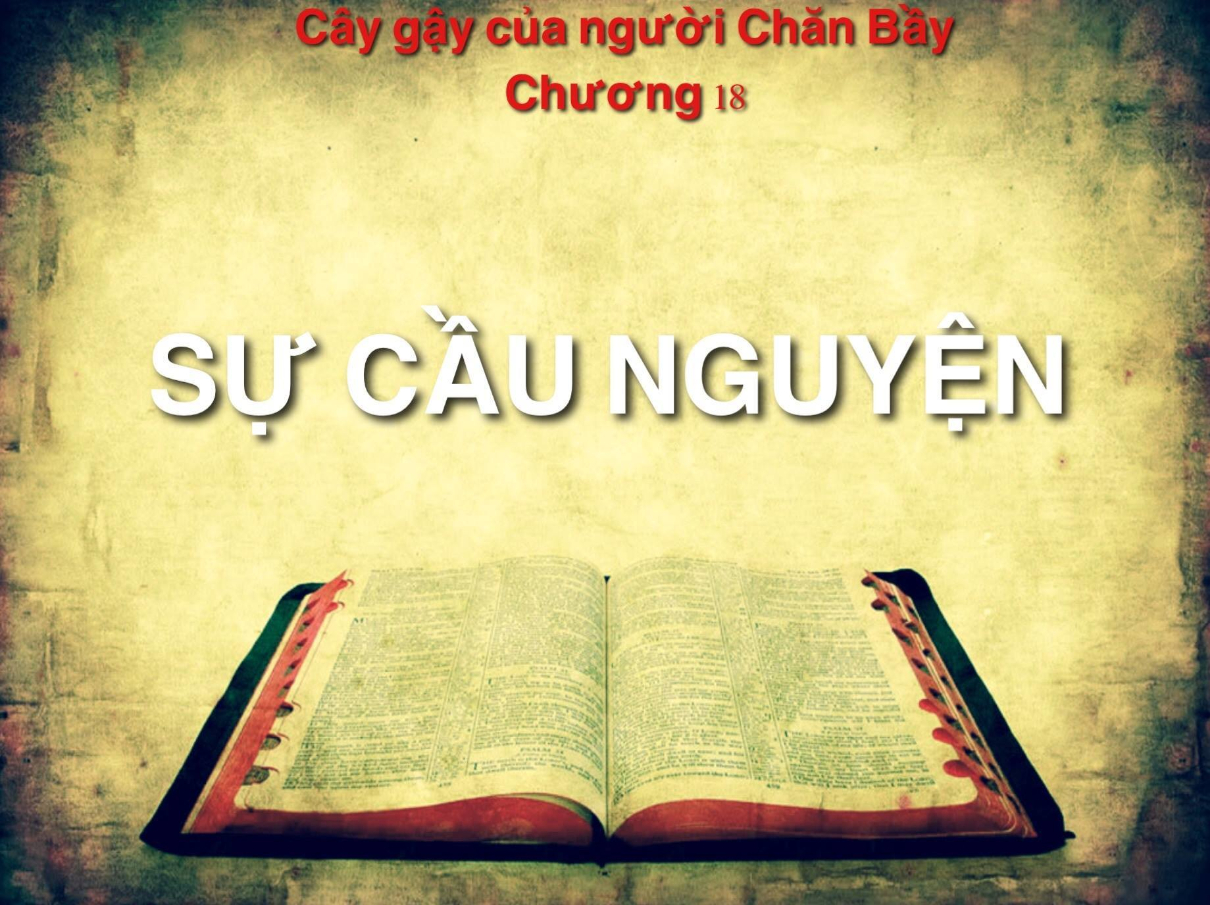 caygaycuanguoichanbaychuong18 1210x905