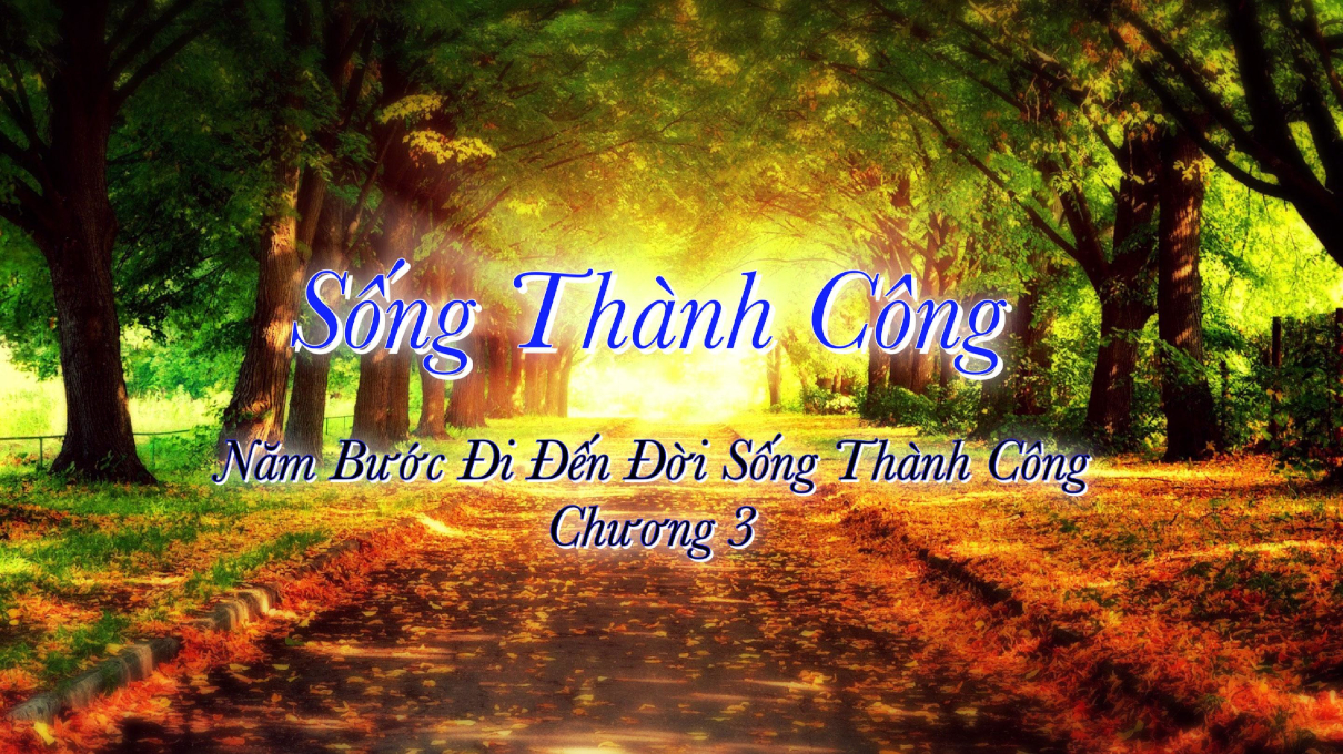 songthanhcong03 1210x680