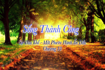 songthanhcong13 435x290 1